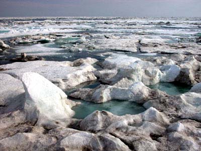 ice fields